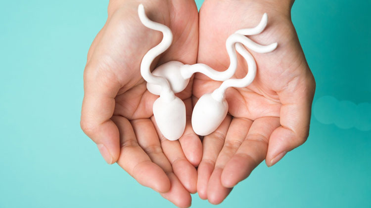 مدت زمان دوام اسپرم در واژن چقدر است؟